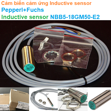 Cảm biến cảm ứng Inductive sensor - Pepperl+Fuchs - Inductive sensor NBB5-18GM50-E2