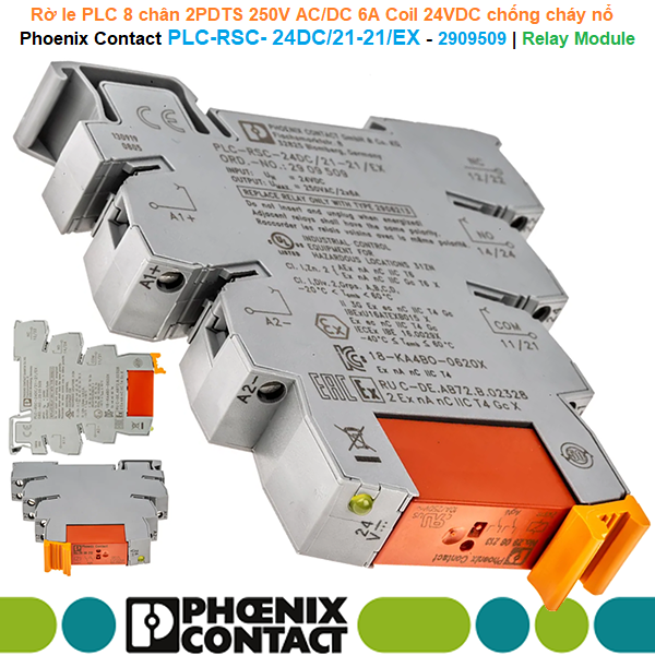 Phoenix Contact PLC-RSC- 24DC/21-21/EX - 2909509 | Relay Module -Rờ le PLC 8 chân 2PDTS 250V AC/DC 6A Coil 24VDC Ex